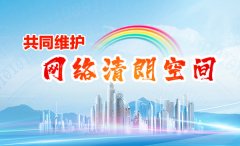 湖北“互聯網+監管”平臺啟用 向網絡傳播亂象說不